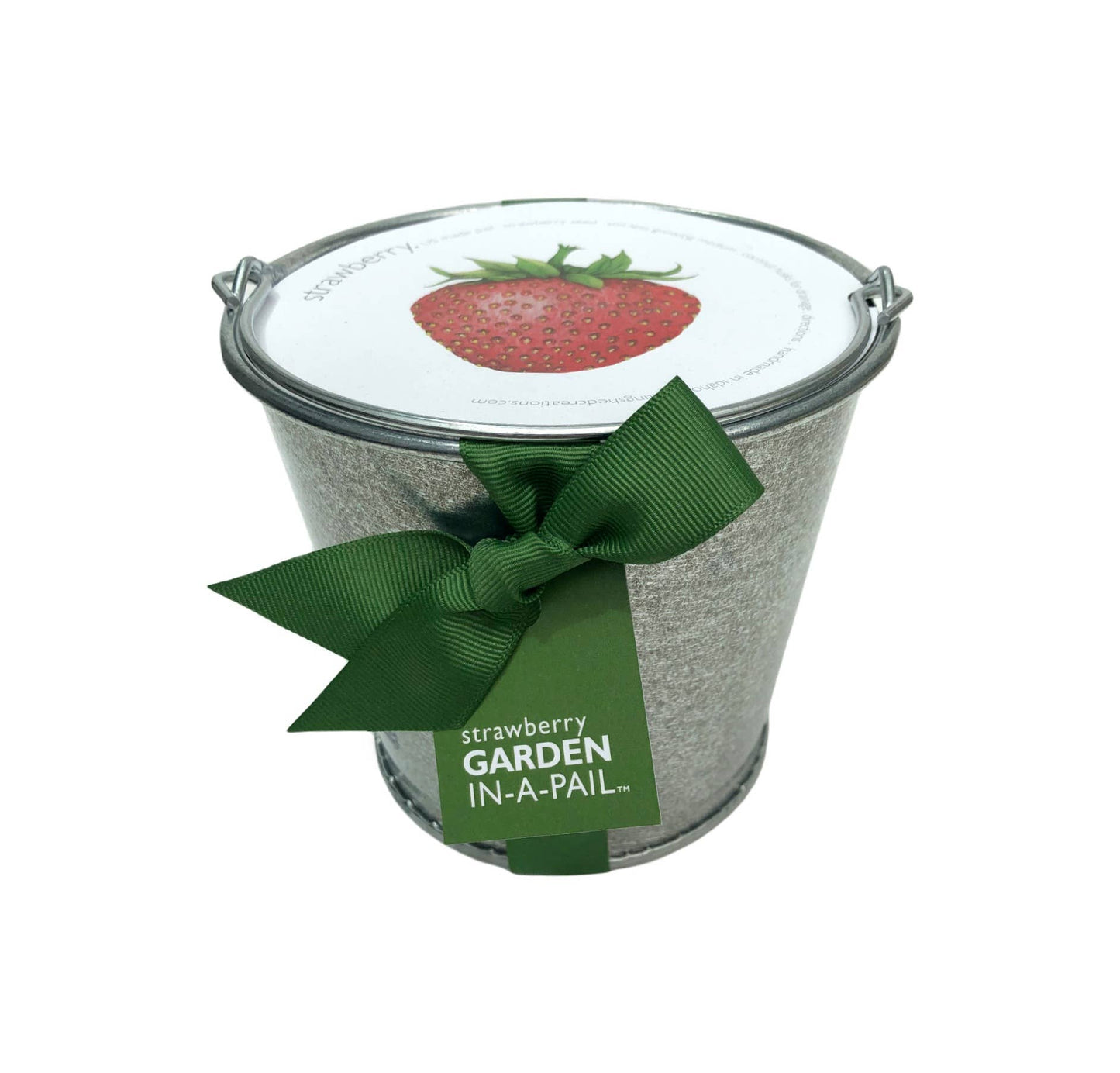 Garden in a Pail - Strawberry