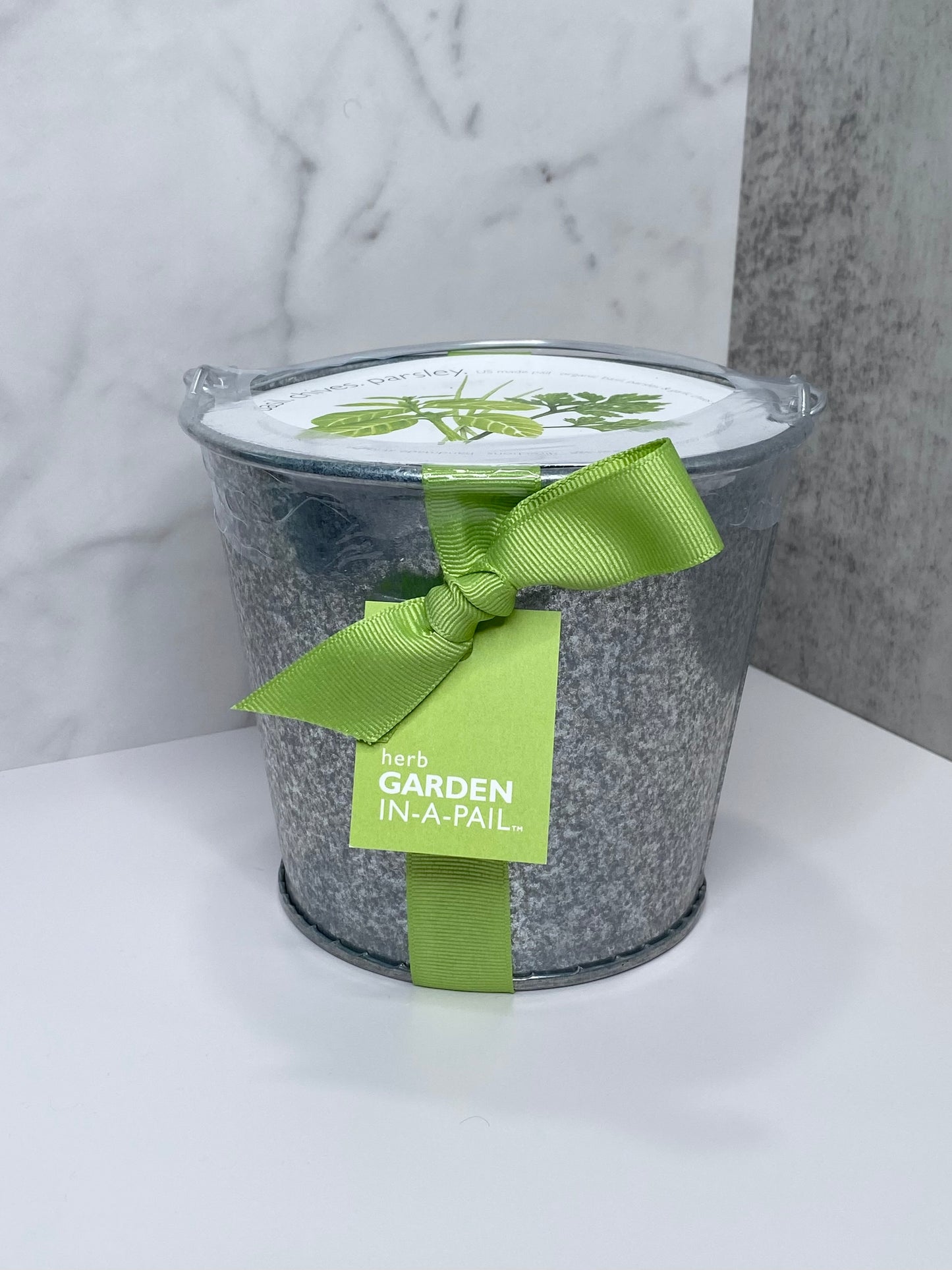 Garden in a Pail - Herb