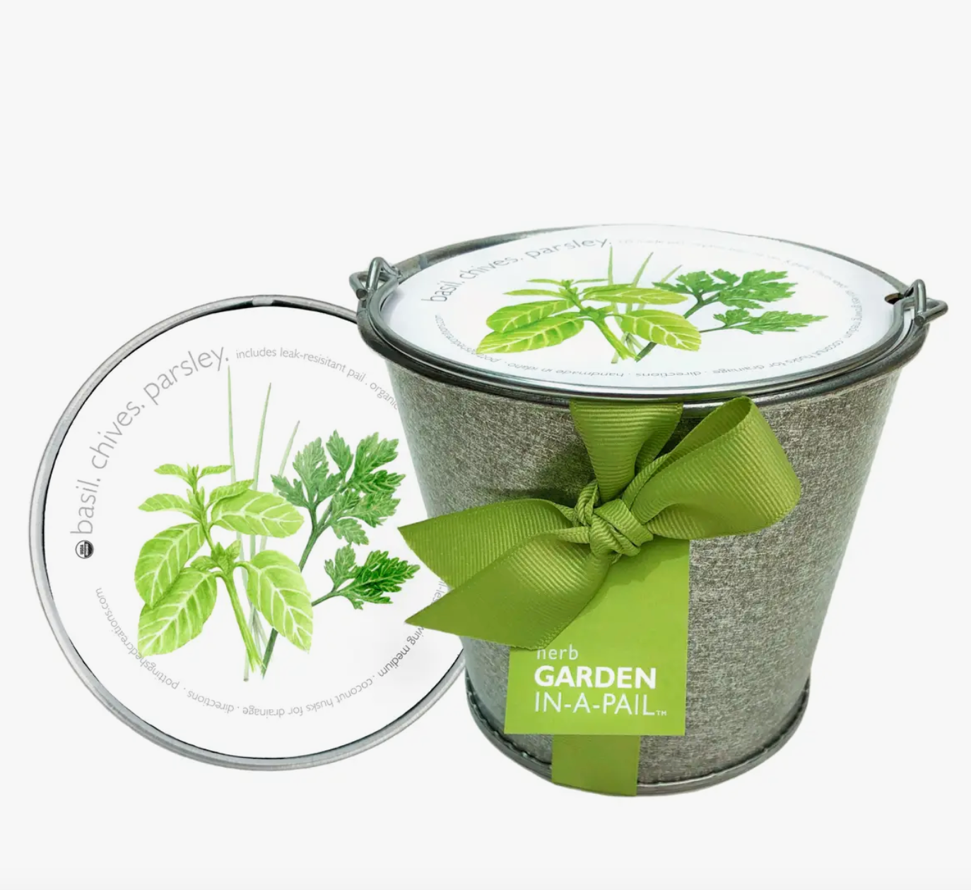 Garden in a Pail - Herb