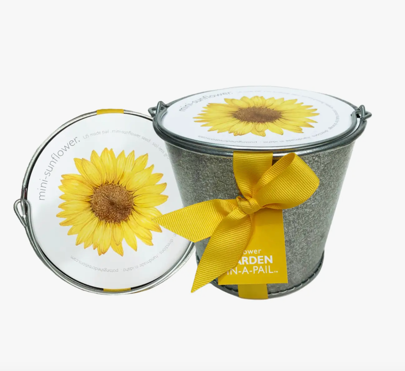 Garden in a Pail - Sunflower