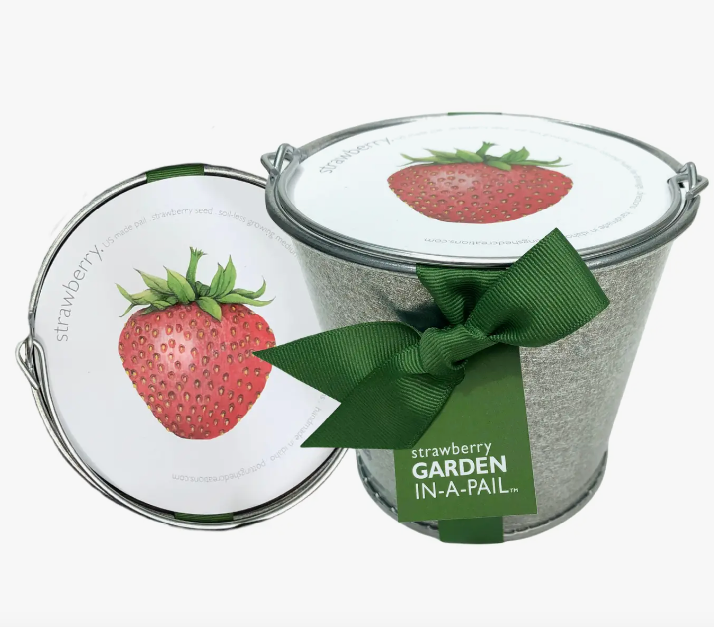 Garden in a Pail - Strawberry