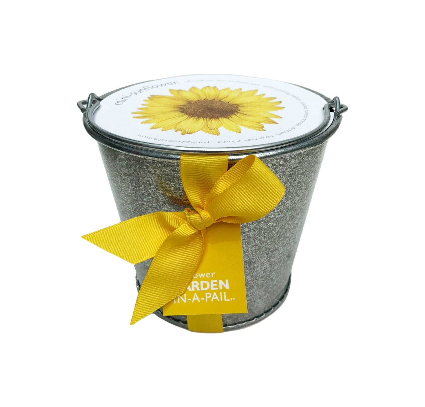 Garden in a Pail - Sunflower